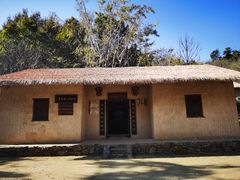 -千年银杏谷文化旅游区