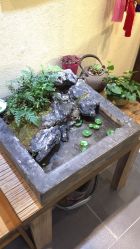 点击看大图 店内环境-晶石宝玉精品文玩个性珠宝定制(印象汇店)