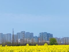 -南京眼步行桥