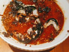 -宋小谨(惠安禹洲店)