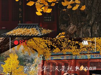 貌似是北京求姻缘最厉害的地方