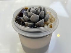 -鲜芋仙(中环百联2店)