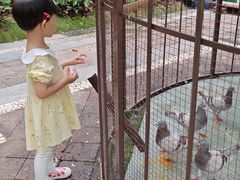 -西双版纳融创皇冠假日度假酒店