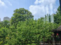 -星巴克(成都天府水街店)