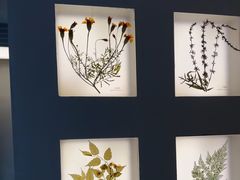 -予厘·推拿按摩·精油SPA(憩舍长安店)