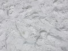 -广州热雪奇迹
