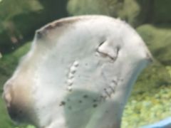 -苏州海洋馆