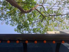 -德福楼咖啡吧(德福巷店)