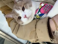 -萌兽医馆·宠物医院·猫骨科(创景店)