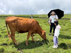 -芦芽山旅游度假区