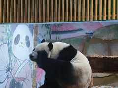 -无锡动物园·太湖欢乐园
