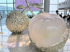 -广州白云国际机场-T2航站楼