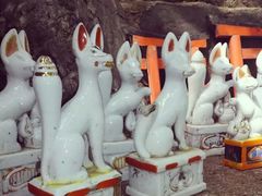 -野宫神社
