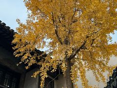 -惠山古镇·寄畅园