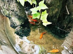 -丽江庭院之丽江往事(安定门店)