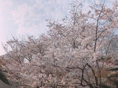 -上海体育场(地铁站)