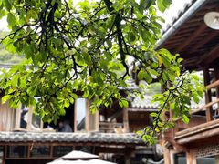 -田德能咖啡博物馆