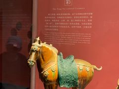 景点-陕西历史博物馆