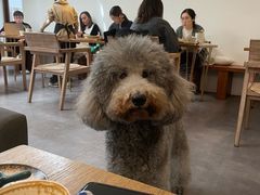 -沏点Trattoria意大利餐厅(新街口店)