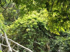 -亚婆田·白水寨生态旅游度假区