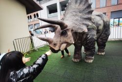 -恐龙探索乐园(磁器口店)