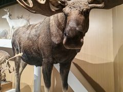 -陕西自然博物馆