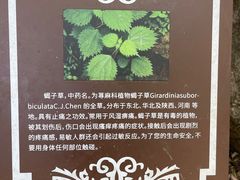 -灵溪风景区