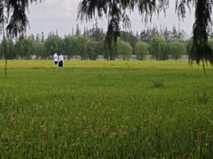 -嘉北郊野公园