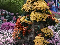 -杭州植物园