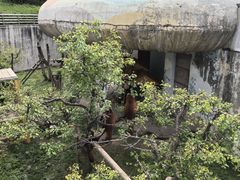 -青藏高原野生动物园