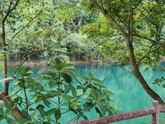 -鼎湖山风景区