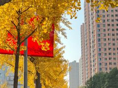 -迎泽公园