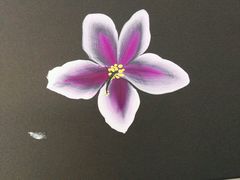 -伊丽莎白美容培训学校(顺德校区)