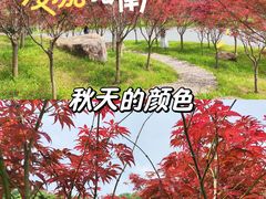 -广州市帽峰山景区