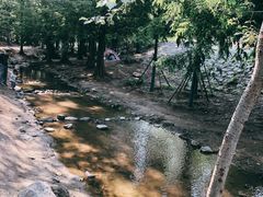 -白水寺森林公园