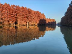 -上海海湾国家森林公园