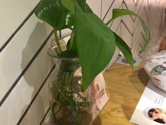 -炖物24章·顺时轻养茶(杭州保利时光里店)