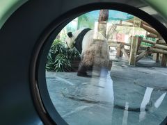 -秦皇岛野生动物园