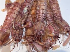 -海味当家·蒸锅海鲜(星海公园店)