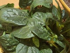 -巴奴毛肚火锅(龙湖锦艺城店)