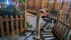 -三分地生态园·儿童乐园