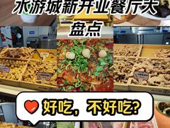 -鹏欣水游城