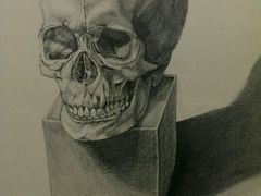 -八哥美术·成人美术画室(总校区)