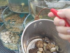 -仙螺岛海鲜自助餐厅(总店)