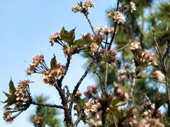 -大泽山风景名胜区