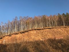 -塞罕坝国家级自然保护区