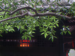 -三苏祠