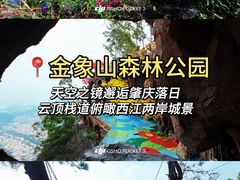 -鼎香皇高佬苏裹蒸粽