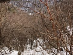 -秦岭风景区