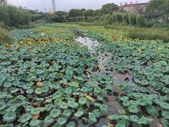 -淹城春秋乐园